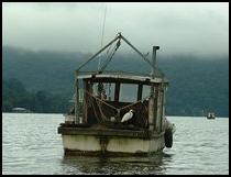 local fishing boat